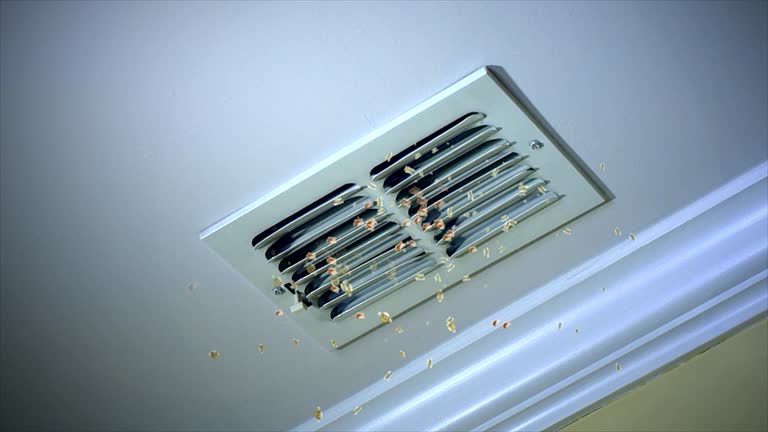 Best Air Vent Cleaning Services  in Conroe, TX