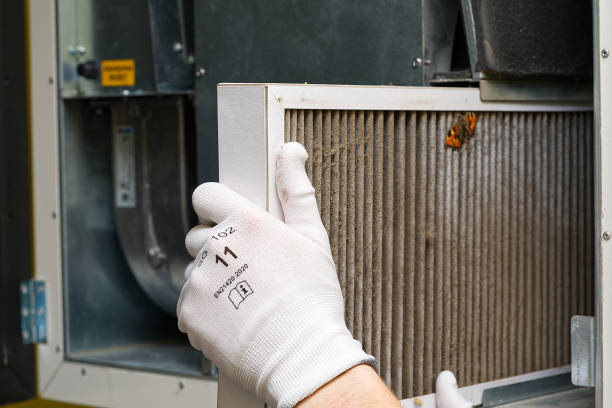 Best Dryer Vent Cleaning Services  in Conroe, TX