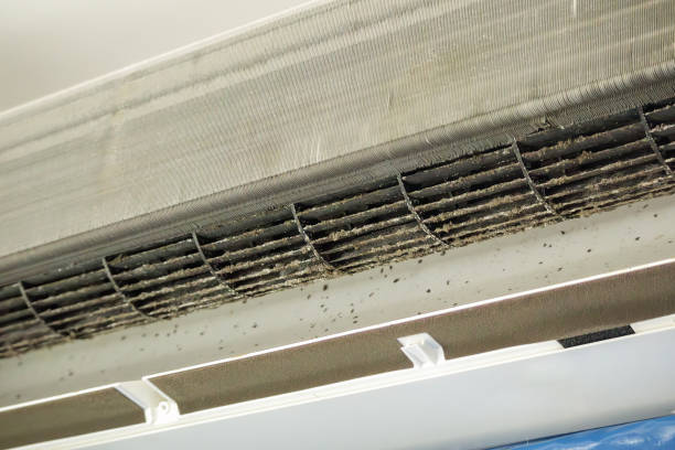 Best Emergency Air Duct Cleaning  in Conroe, TX
